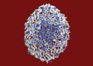 s-Ruby Jewellery-03.jpg